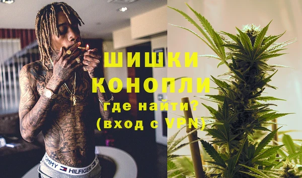 ГАЛЛЮЦИНОГЕННЫЕ ГРИБЫ Горно-Алтайск
