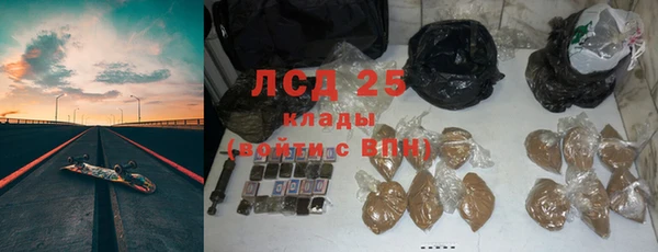 ГАЛЛЮЦИНОГЕННЫЕ ГРИБЫ Горно-Алтайск