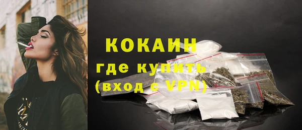 прущие грибы Горнозаводск
