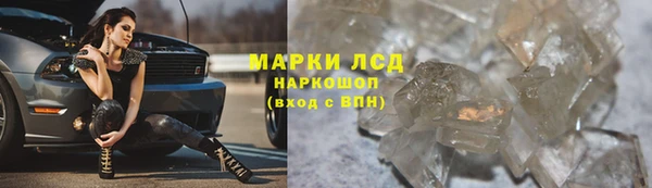 прущие грибы Горнозаводск