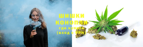 прущие грибы Горнозаводск