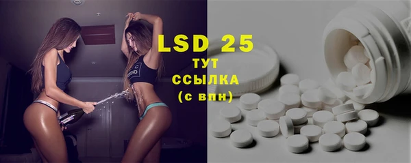 прущие грибы Горнозаводск