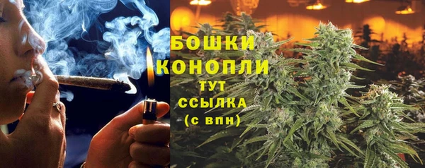 прущие грибы Горнозаводск