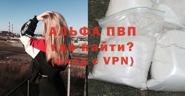 ГАЛЛЮЦИНОГЕННЫЕ ГРИБЫ Горно-Алтайск