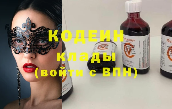 прущие грибы Горнозаводск