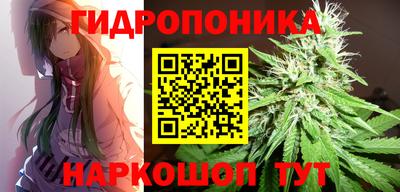 прущие грибы Ростов-на-Дону