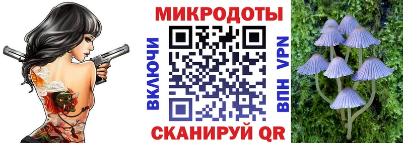 Псилоцибиновые грибы ЛСД  где найти   Гудермес 