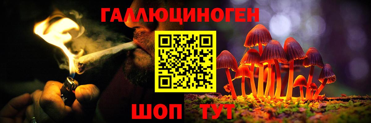 Галлюциногенные грибы Psilocybine cubensis  Вход с VPN  Гудермес 